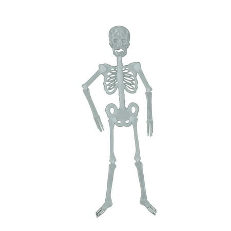 Glow In The Dark Skeleton Props Bar Decorations Fluorescent Skeleton Funny Decorations Club Lights Indoor Roller Skating Party Glow in The Dark Bowls for Party Glow in The Dark Ceiling Decorations
Glow In The Dark Skeleton Props Bar Decorations Fluorescent Skeleton Funny Decorations Club Lights Indoor Roller Skating Party Glow in The Dark Bowls for Party Glow in The Dark Ceiling Decorations