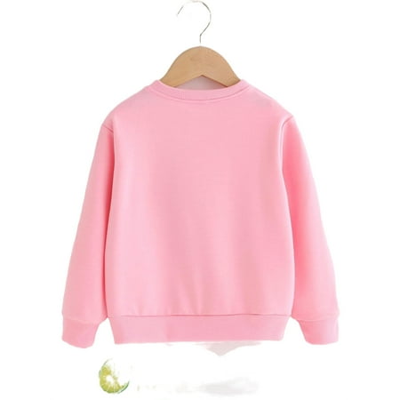 Casual Letter Print Round Neck Pullovers Long Sleeve Baby Pink Toddler Girls Sweatshirts (Girl s)
Casual Letter Print Round Neck Pullovers Long Sleeve Baby Pink Toddler Girls Sweatshirts (Girl s)