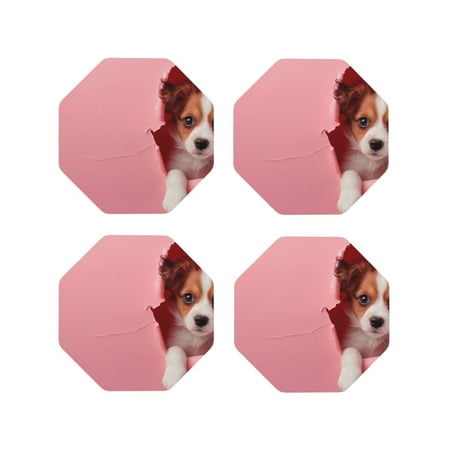 Honeii Puppy Peeking Through Pink Print Leather Coaster Set of 4 Ideal for Safeguarding Your Furniture from Drinks Spills and Effortless Cleanup-Octagon
Honeii Puppy Peeking Through Pink Print Leather Coaster Set of 4 Ideal for Safeguarding Your Furniture from Drinks Spills and Effortless Cleanup-Octagon