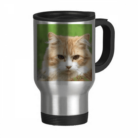 Yellow Stripes Cat Stare Pet Animal Travel Mug Flip Lid Stainless Steel Cup Car Tumbler Thermos
Yellow Stripes Cat Stare Pet Animal Travel Mug Flip Lid Stainless Steel Cup Car Tumbler Thermos