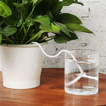 WJSXC Automatic Watering Cotton Rope for DIY Plant Automatic Watering Device Violet Automatic Watering Rope 1/4inch(6mm):60feet/18m D
WJSXC Automatic Watering Cotton Rope for DIY Plant Automatic Watering Device Violet Automatic Watering Rope 1/4inch(6mm):60feet/18m D