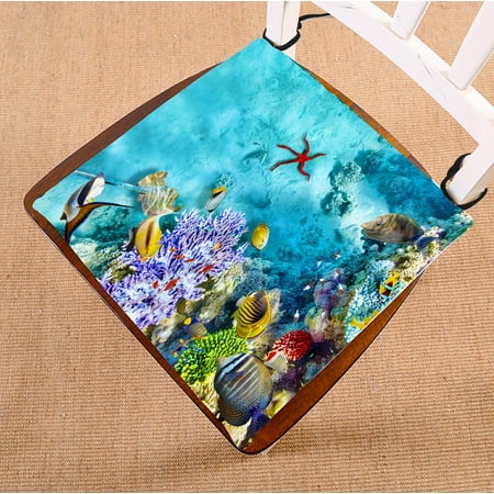 PHFZK Tropical Beach Chair Pad Wonderful Underwater World with Starfish Seashell Coral Seat Cushion Chair Cushion Floor Cushion Two Sides Size 16x16 inches
PHFZK Tropical Beach Chair Pad Wonderful Underwater World with Starfish Seashell Coral Seat Cushion Chair Cushion Floor Cushion Two Sides Size 16x16 inches