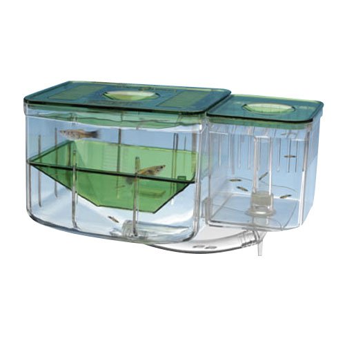 Midwest Tropical Octagon AquaTower 55 Gallon Aquarium Set 80 in