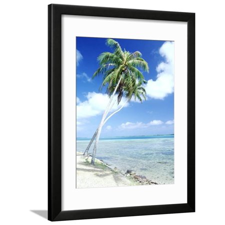 Palm Trees Along Shoreline Framed Print Wall Art