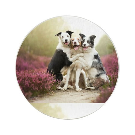 Circular Drink Coasters Set Dog Border Collie Love Beautiful Home Decor Diatomite Heat-Resistant Diatomite Protect Table Countertop
Circular Drink Coasters Set Dog Border Collie Love Beautiful Home Decor Diatomite Heat-Resistant Diatomite Protect Table Countertop