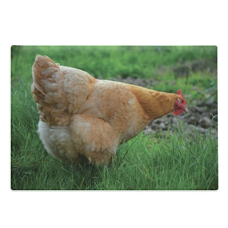 Hen Cutting Board Clouse up Photo of Chicken on Grassy Field Blurry Backdrop Decorative Tempered Glass Cutting and Serving Board in 3 Sizes by Ambesonne
Hen Cutting Board Clouse up Photo of Chicken on Grassy Field Blurry Backdrop Decorative Tempered Glass Cutting and Serving Board in 3 Sizes by Ambesonne