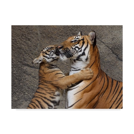 Trademark Fine Art 'A Kiss For Mom' Canvas Art by Galloimages Online