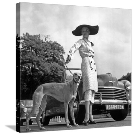 Concours d'elegance Stretched Canvas Print Wall Art