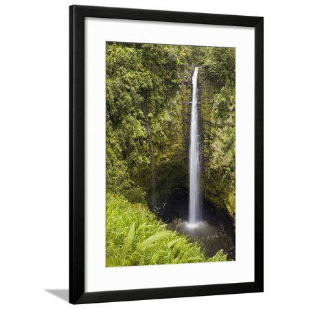 Akaka Falls Framed Print Wall Art By Chris Moyer