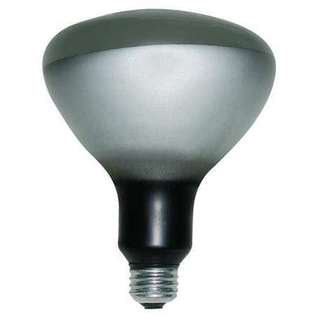 Incandescent Bulb R40 2850 lm 252W