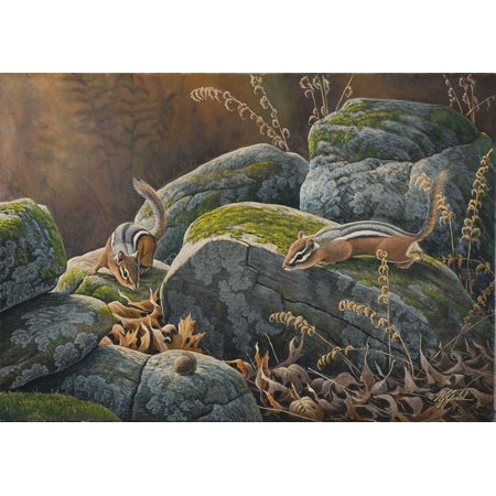 Eye On The Prize-WILGOE76308 Framed Print 5"x7" by Wilhelm Goebel in a Unframed (Canvas Only)