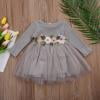 Cute Pretty Toddler Baby Girls Dress Flower Long Sleeve Lace Dress Princess Party Prom Tulle Dresses
Cute Pretty Toddler Baby Girls Dress Flower Long Sleeve Lace Dress Princess Party Prom Tulle Dresses