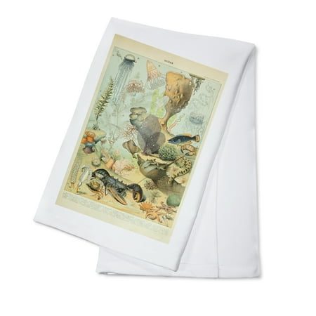 Marine Life B Vintage Bookplate Adolphe Millot Artwork (100% Cotton Tea Towel Decorative Hand Towel Kitchen and Home)
Marine Life B Vintage Bookplate Adolphe Millot Artwork (100% Cotton Tea Towel Decorative Hand Towel Kitchen and Home)