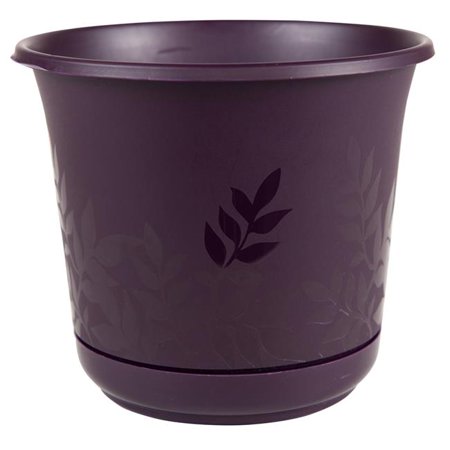 6 in. Freesia Planter with Saucer, Exotica