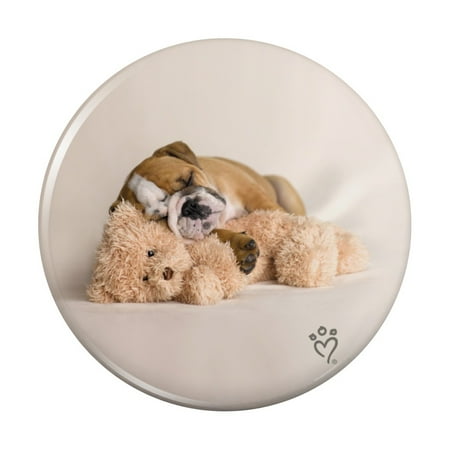 British Bulldog Puppy Dog Asleep with Teddy Bear Kitchen Refrigerator Locker Button Magnet
British Bulldog Puppy Dog Asleep with Teddy Bear Kitchen Refrigerator Locker Button Magnet