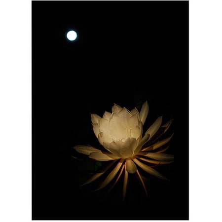 Trademark Art "Full Moon Bloom" Canvas Art by Kurt Shaffer, 16x24