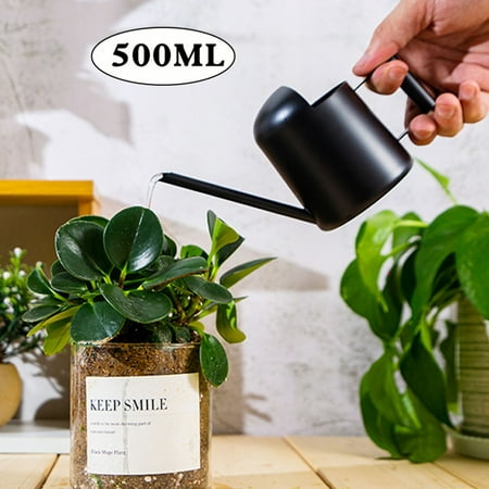 Loopsun Organization and Storage Stainless Steel Watering Can - Metal Watering Can With Long Spout To Prevent Spillage Perfect Plant Watering Can For Outdoor And Indoor Plants
Loopsun Organization and Storage Stainless Steel Watering Can - Metal Watering Can With Long Spout To Prevent Spillage Perfect Plant Watering Can For Outdoor And Indoor Plants