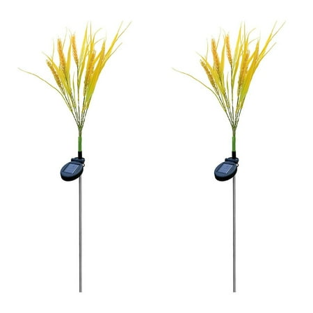 SHENGXINY Solar Wheats Garden Lights Waterproof Landscaping Lighting,two Pack Wireless Solar Garden Stake Lights For Fence Yard Gardens Flowerbed Decor
SHENGXINY Solar Wheats Garden Lights Waterproof Landscaping Lighting,two Pack Wireless Solar Garden Stake Lights For Fence Yard Gardens Flowerbed Decor