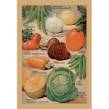 Buy Enlarge 0-587-02604-9P20x30 Garden Richness no. 1- Paper Size P20x30