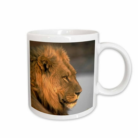 3dRose Botswana Chobe NP Lion Water hole Savuti Marsh -AF05 PSO0210 - Paul Souders Ceramic Mug 15-ounce
3dRose Botswana Chobe NP Lion Water hole Savuti Marsh -AF05 PSO0210 - Paul Souders Ceramic Mug 15-ounce