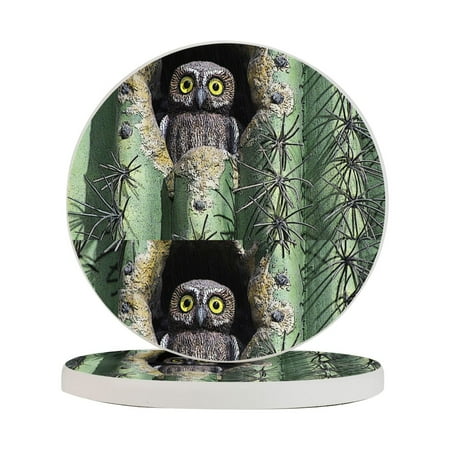 Circular Drink Coasters Set Owl In Cactus Beautiful Home Decor Diatomite Heat-Resistant Diatomite Protect Table Countertop
Circular Drink Coasters Set Owl In Cactus Beautiful Home Decor Diatomite Heat-Resistant Diatomite Protect Table Countertop