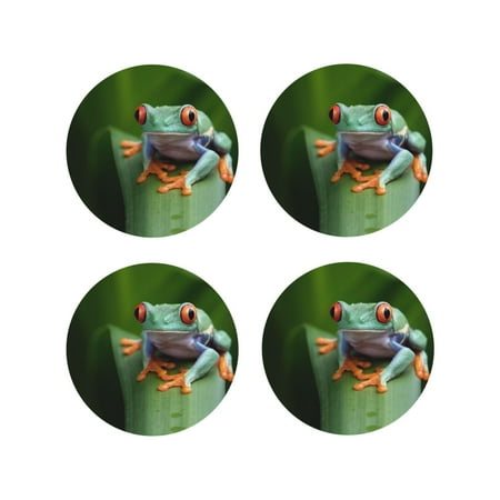 Yiaed Red-Eyed Tree Frog Print Leather Coasters for Drinks - Cup Coasters Coffee Table Kitchen Table Bar Home & Office Gifts Handmade Drink Coasters-Round Shape
Yiaed Red-Eyed Tree Frog Print Leather Coasters for Drinks - Cup Coasters Coffee Table Kitchen Table Bar Home & Office Gifts Handmade Drink Coasters-Round Shape
