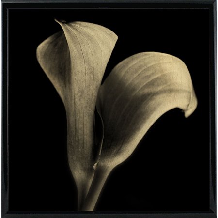 Floral_CG_2014_014_Postcard-MICHAR132981 Print 18.25"x18.25" by Michael Harrison in a Black Metal Frame