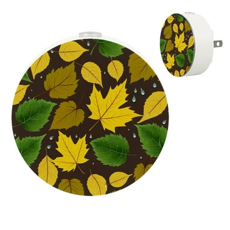 YZUOUZY Night Lights Plug into Wall LED Lamp Small Lamps Set of 2 Autumn Leaves Cool
YZUOUZY Night Lights Plug into Wall LED Lamp Small Lamps Set of 2 Autumn Leaves Cool