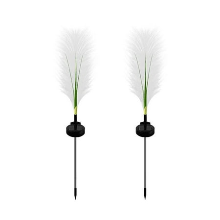 Kotyreds 2pcs/Set Solar Phragmites Ground Light Simulated Lawn Lamp for Home Garden (D)
Kotyreds 2pcs/Set Solar Phragmites Ground Light Simulated Lawn Lamp for Home Garden (D)