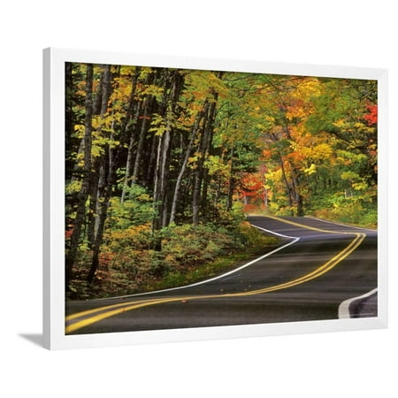 Canopy of Autumn Color over Highway 41, Copper Harbor, Michigan, USA Framed Print Wall Art By Chuck Haney