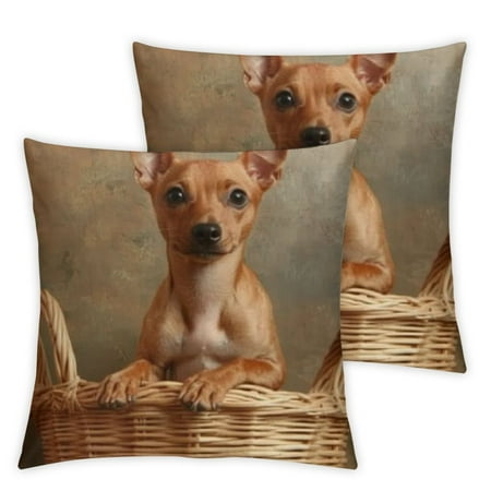 Decorative Throw Pillow Covers 18x18 Set of 2 Dwarf Adorable Brown Domestic Pinscher Pet Small Animal Dog Lovely Animals Funny Dwarfs Wildlife Pillow Covers for Couch Sofa Outdoor Home Decor
Decorative Throw Pillow Covers 18x18 Set of 2 Dwarf Adorable Brown Domestic Pinscher Pet Small Animal Dog Lovely Animals Funny Dwarfs Wildlife Pillow Covers for Couch Sofa Outdoor Home Decor