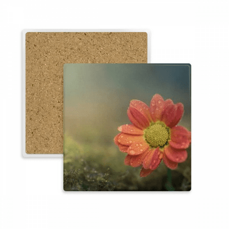 Dark Red Beautiful Flowers Square Coaster Cup Mat Mug Subplate Holder Insulation Stone
Dark Red Beautiful Flowers Square Coaster Cup Mat Mug Subplate Holder Insulation Stone