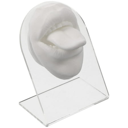 1 Set of Face Model Training Piercing Practice Simulation Fake Tongue Body Part with Stand
1 Set of Face Model Training Piercing Practice Simulation Fake Tongue Body Part with Stand