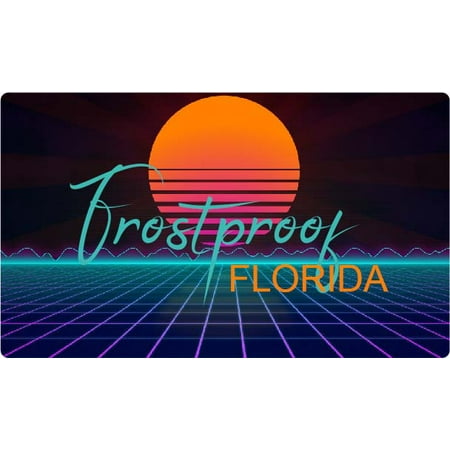 Frostproof Florida 4 X 2.25-Inch Fridge Magnet Retro Neon Design