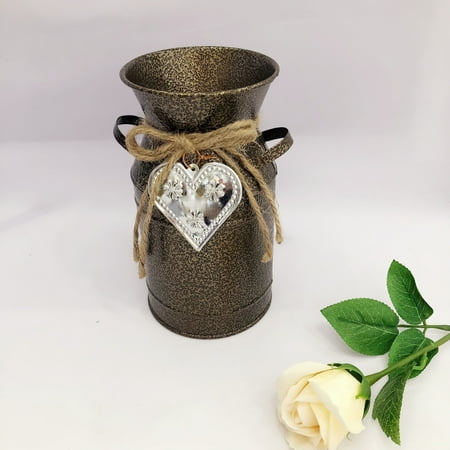 Iron Flower Bucket Pastoral Household Ornaments Living Room Flower Pot Vintage Style Plant Bucket
Iron Flower Bucket Pastoral Household Ornaments Living Room Flower Pot Vintage Style Plant Bucket