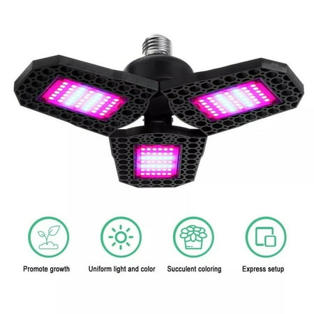 Deformation Led E26 E27 360° Grow Light for Indoor Plants Heat Dissipation for Green House Orchards Flower Planting
Deformation Led E26 E27 360° Grow Light for Indoor Plants Heat Dissipation for Green House Orchards Flower Planting