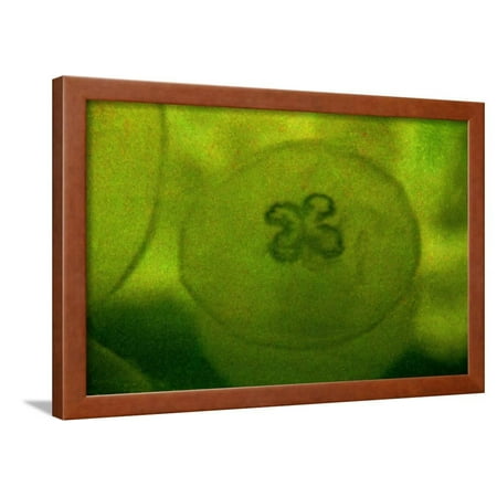 Composition Framed Print Wall Art