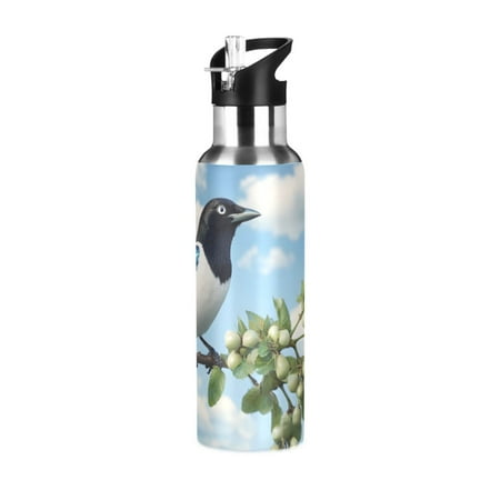 ALAZA Bird on Branch Water Bottle Insulated Flask Stainless Steel Straw Lid 20 oz
ALAZA Bird on Branch Water Bottle Insulated Flask Stainless Steel Straw Lid 20 oz