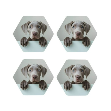 Leather Coasters Set of 4 - Adorable Puppy Portrait Lightweight Non-Slip Drink Coasters for Desk Anti-Scalding Desk Cup Coasters for Office Table Decor Hexagon
Leather Coasters Set of 4 - Adorable Puppy Portrait Lightweight Non-Slip Drink Coasters for Desk Anti-Scalding Desk Cup Coasters for Office Table Decor Hexagon