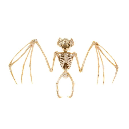 Tepsmf Halloween Simulation Skeleton Skeleton Ghost Festival Horror Props Makeup Ball Scary Toys Christmas Gifts For Women
Tepsmf Halloween Simulation Skeleton Skeleton Ghost Festival Horror Props Makeup Ball Scary Toys Christmas Gifts For Women