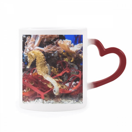 Ocean Deep Water Blue Hippocampus Water Heat Sensitive Mug Red Color Changing Stoneware Cup
Ocean Deep Water Blue Hippocampus Water Heat Sensitive Mug Red Color Changing Stoneware Cup