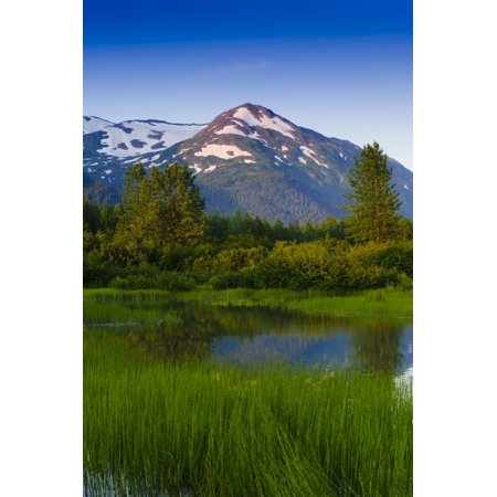 Scenic View Of A Small Stream In Portage Valley With Chugach Mountains In The Background Southcentral Alaska Summer Stretched Canvas - Michael Jones Design Pics (11 x 17)