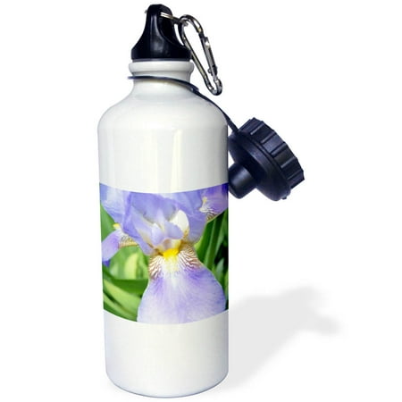 Purple Iris Flower 21 oz Sports Water Bottle wb-22960-1
