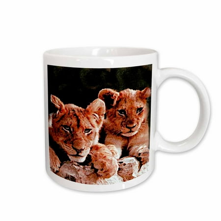 3dRose African Lion Cubs Ceramic Mug 11-ounce