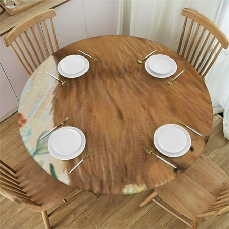Patifu Bear Cub Grass Round Tablecloth 100% Polyester Stain-Resistant Washable for Indoor Outdoor Restaurants Weddings Parties 38 -42
Patifu Bear Cub Grass Round Tablecloth 100% Polyester Stain-Resistant Washable for Indoor Outdoor Restaurants Weddings Parties 38 -42