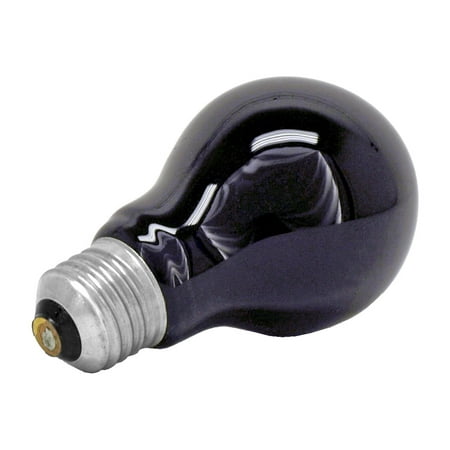 Phillips A19 Blacklight