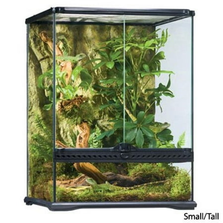 Exo Terra All Glass Terrarium