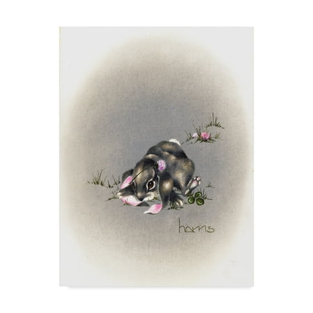 Trademark Fine Art 'Ear We Go Again' Canvas Art by Peggy Harris