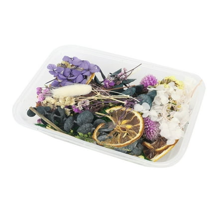 BNisBM 1PC Dried Flowers Natural Floral Art Craft Scrapbooking Resin Jewelry Making Hot-Selling Model
BNisBM 1PC Dried Flowers Natural Floral Art Craft Scrapbooking Resin Jewelry Making Hot-Selling Model