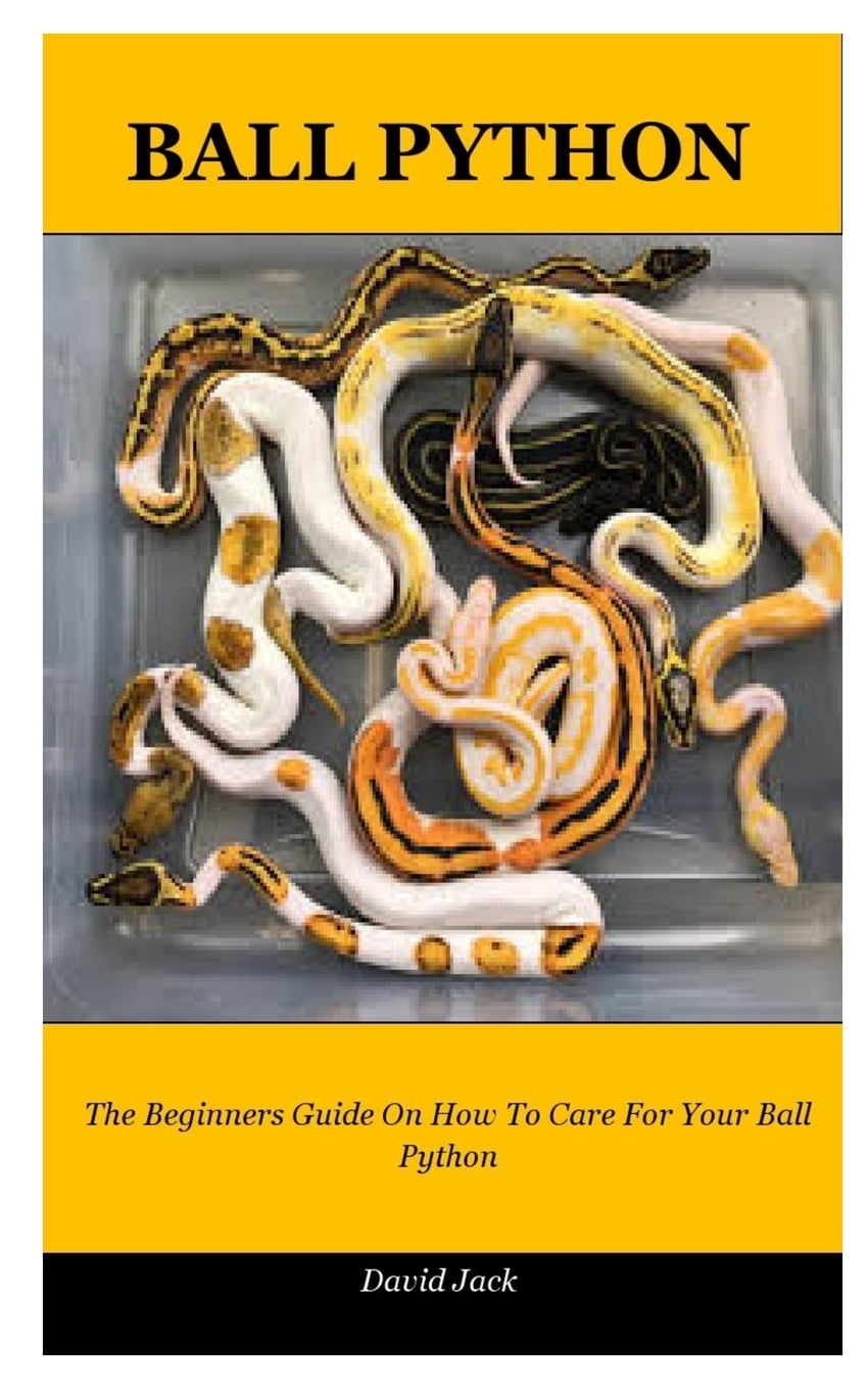 Ball Python The Beginners Guide On How To Care For Your Ball Python